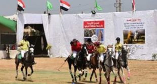 مهرجان الشرقية للخيول