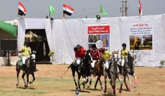 مهرجان الشرقية للخيول