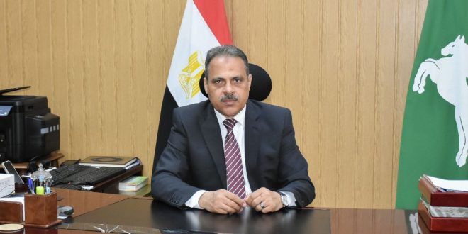 المهندس حازم الاشموني محافظ الشرقية