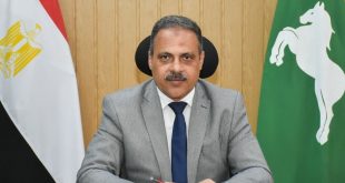محافظ الشرقية