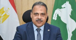 محافظ الشرقية