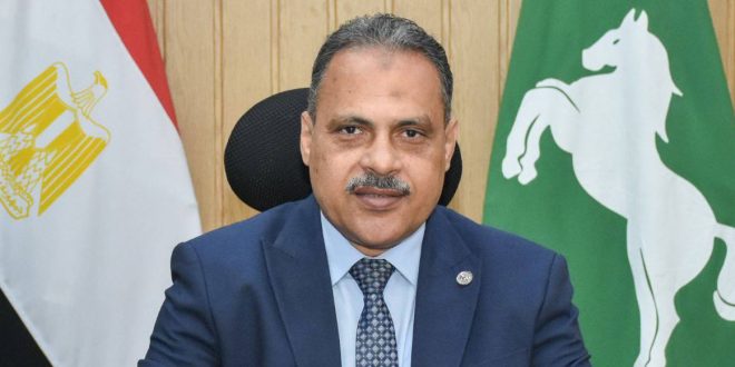 محافظ الشرقية